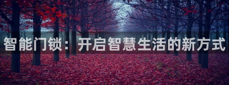 融通金年会：智能门锁：开启智慧生活的新方式
