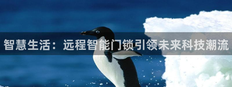 金年会官：智慧生活：远程智能门锁引领未来科技潮流