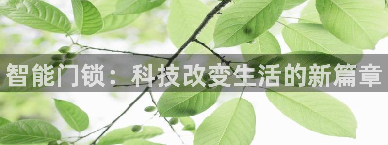 金年会 信誉至上：智能门锁：科技改变生活的新篇章