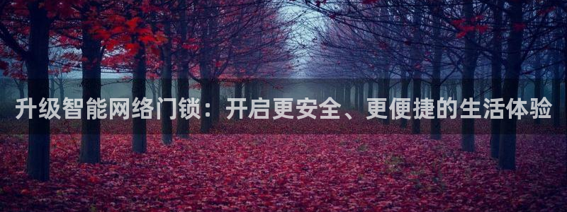 金年会体育app：升级智能网络门锁：开启更安全、更便捷的生活