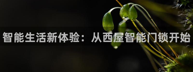 2022年金科年会：智能生活新体验：从西屋智能门锁开始