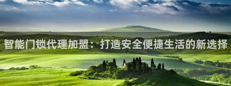 金年会赞助西甲：智能门锁代理加盟：打造安全便捷生活的新选择