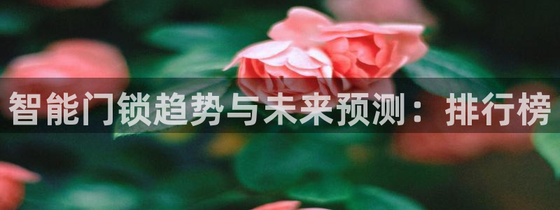 金年会官网地址