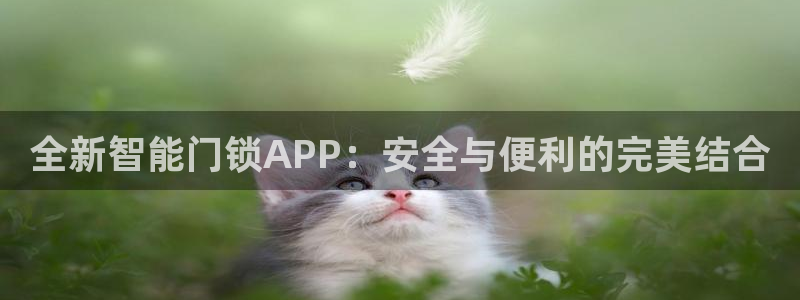 金年会体育苹果下载：全新智能门锁APP：安全与便利的完美结合