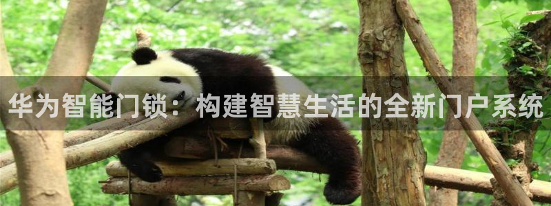 金年会金字招牌信誉：华为智能门锁：构建智慧生活的全新门户系统