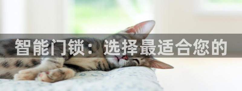 金年会登录入口：智能门锁：选择最适合您的