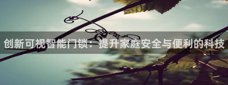 金年会 信誉至上：创新可视智能门锁：提升家庭安全与便利的科技