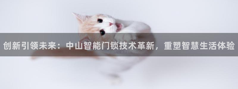 金年会官方网站下载：创新引领未来：中山智能门锁技术革新，重塑