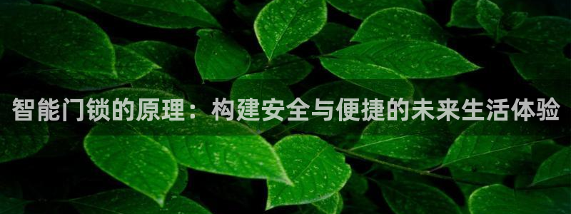 金年会下载：智能门锁的原理：构建安全与便捷的未来生活体验
