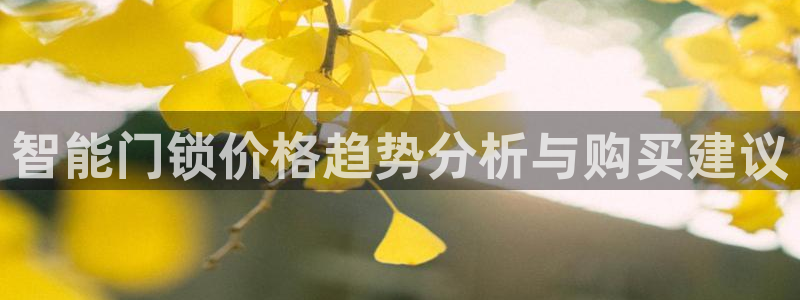 金年会平台：智能门锁价格趋势分析与购买建议