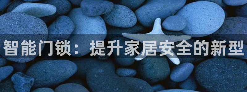 金年会是啥:智能门锁:提升家居安全的新型