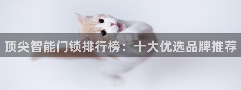 jinnian金年会：顶尖智能门锁排行榜：十大优选品牌推荐
