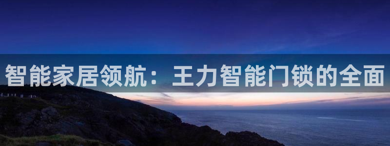 金年会平台登陆：智能家居领航：王力智能门锁的全面