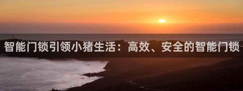 金年会体育苹果下载：智能门锁引领小猪生活：高效、安全的智能门