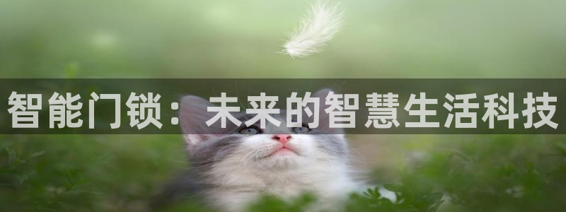金吉年会：智能门锁：未来的智慧生活科技
