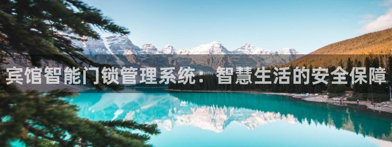 金实年会：宾馆智能门锁管理系统：智慧生活的安全保障