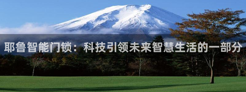 金年会金字招牌信誉至上:耶鲁智能门锁:科技引领未来智慧生活的