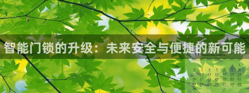 金帆年会2019:智能门锁的升级:未来安全与便捷的新可能