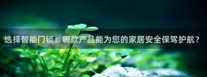 金年会官方:选择智能门锁:哪款产品能为您的家居安全保驾护航?