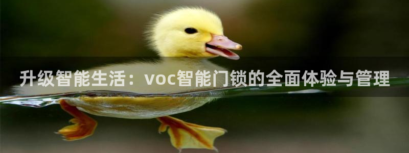 金年会金字招牌诚信至上:升级智能生活:voc智能门锁的全面体