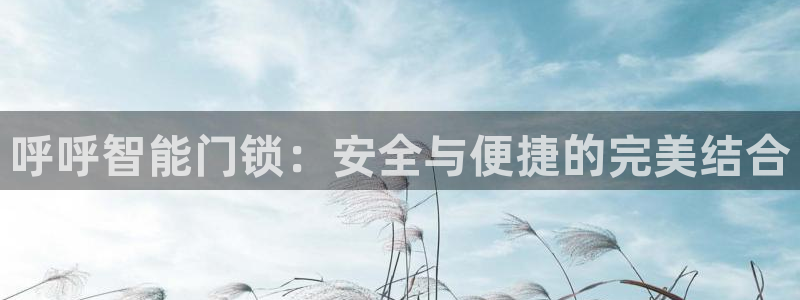 金年会嗨聊app下载:呼呼智能门锁:安全与便捷的完美结合