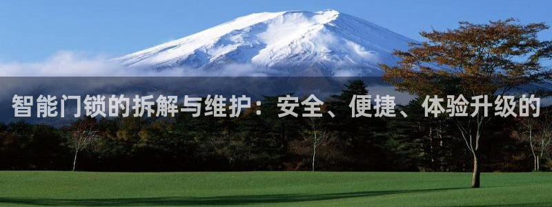 金年会游戏:智能门锁的拆解与维护:安全、便捷、体验升级的