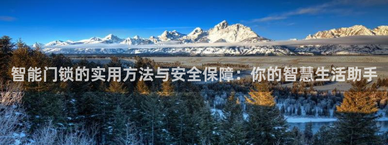 金年会赌博：智能门锁的实用方法与安全保障：你的智慧生活助手