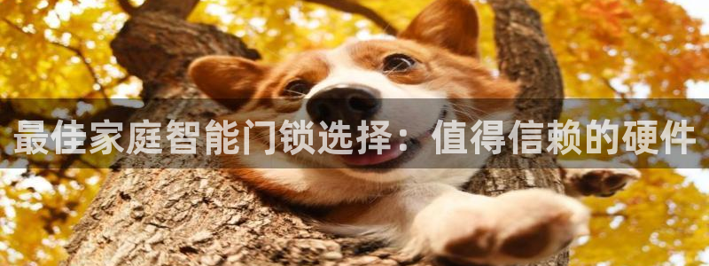 金年会菲律宾：最佳家庭智能门锁选择：值得信赖的硬件