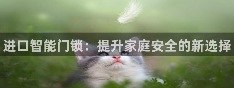 金年会体育下载:进口智能门锁:提升家庭安全的新选择