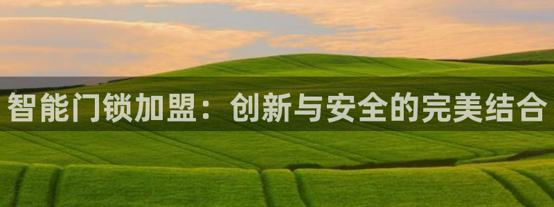 金年会吧:智能门锁加盟:创新与安全的完美结合