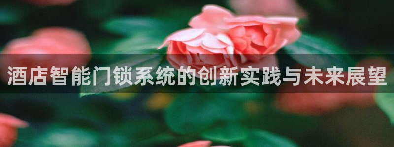 金年会登录入口:酒店智能门锁系统的创新实践与未来展望