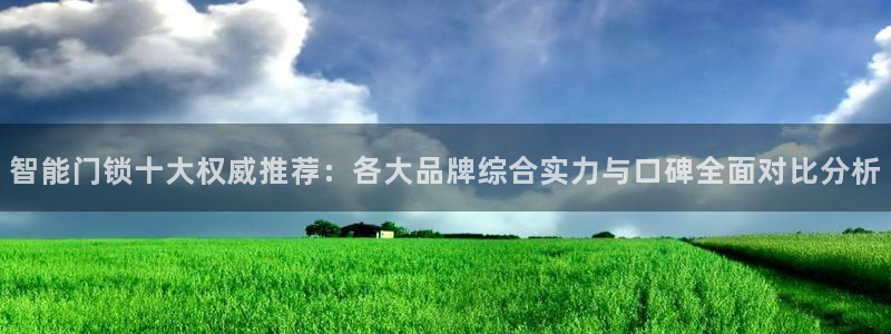 金年会游戏官网：智能门锁十大权威推荐：各大品牌综合实力与口碑