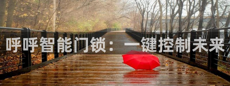 金年会6088070：呼呼智能门锁：一键控制未来