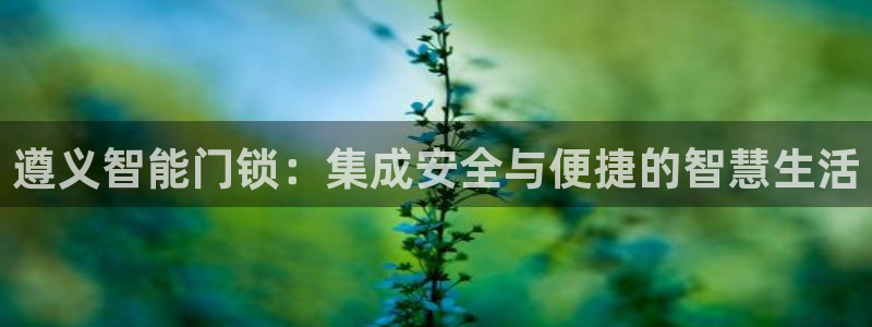 金 金年会:遵义智能门锁:集成安全与便捷的智慧生活