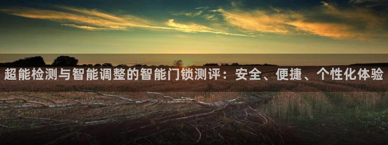 金年会金字招牌：超能检测与智能调整的智能门锁测评：安全、便捷