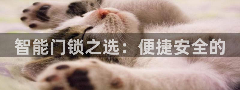 金年会平台是真的吗：智能门锁之选：便捷安全的