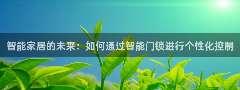 金年会网页：智能家居的未来：如何通过智能门锁进行个性化控制