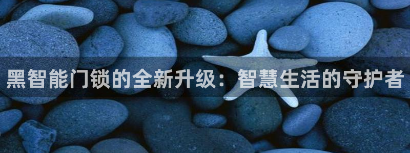 金年会娱乐下载：黑智能门锁的全新升级：智慧生活的守护者