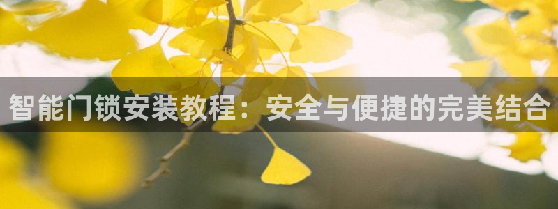 澳门与金年会的关系：智能门锁安装教程：安全与便捷的完美结合