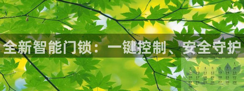 澳门金年会棋牌：全新智能门锁：一键控制、安全守护