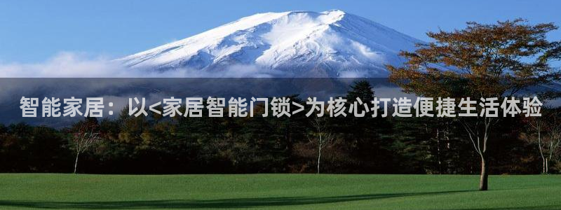 金立年会：智能家居：以<家居智能门锁>为核心打造便捷生活体验