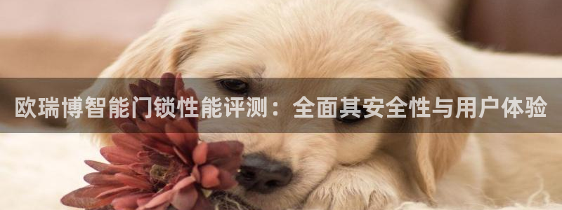 金年会平台是不是大台子:欧瑞博智能门锁性能评测:全面其安全性