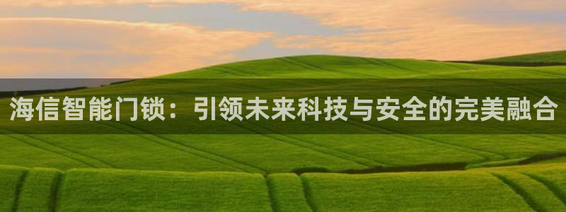 金年会app:海信智能门锁:引领未来科技与安全的完美融合