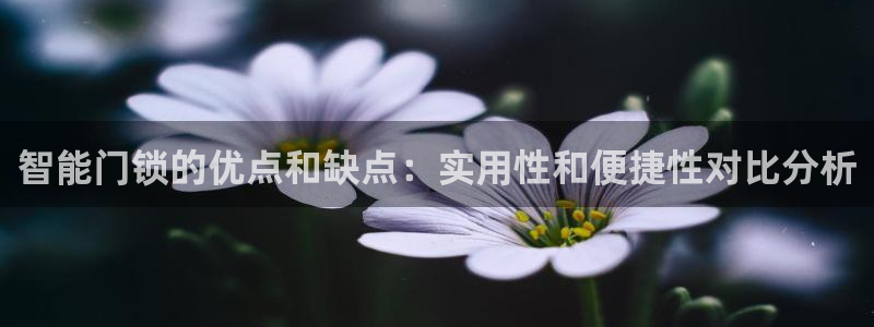 金年会体育官方网站入口:智能门锁的优点和缺点:实用性和便捷性