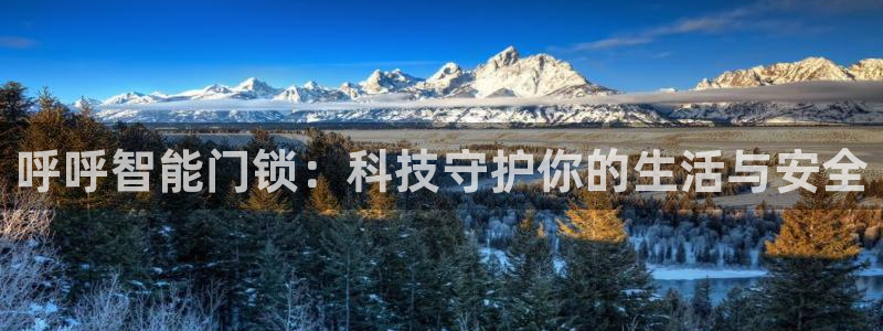 金年会体育在线登录：呼呼智能门锁：科技守护你的生活与安全