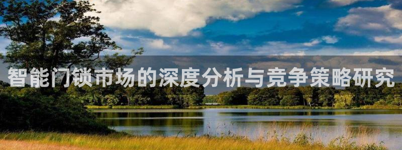 金年会全站app：智能门锁市场的深度分析与竞争策略研究