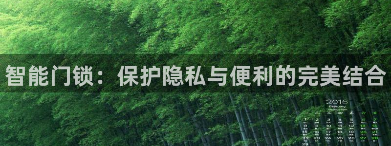 金辉城年会视频：智能门锁：保护隐私与便利的完美结合