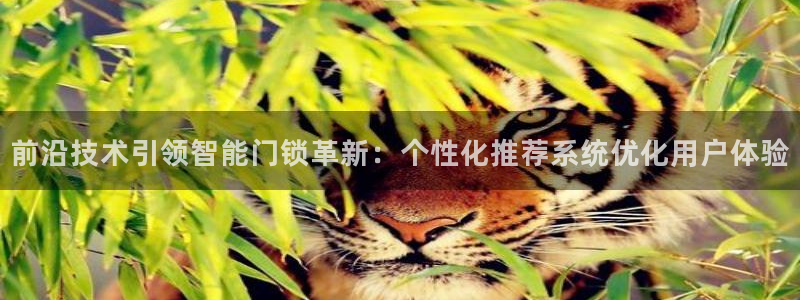 澳门金年会棋牌：前沿技术引领智能门锁革新：个性化推荐系统优化