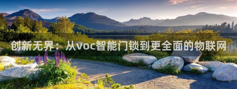 金年会体育官网：创新无界：从voc智能门锁到更全面的物联网