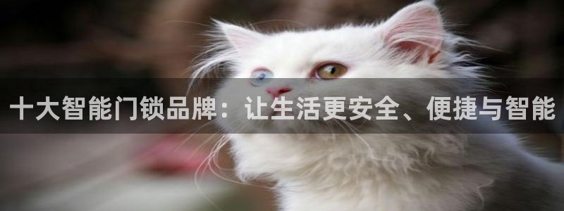 金年会金字招牌信誉至上：十大智能门锁品牌：让生活更安全、便捷